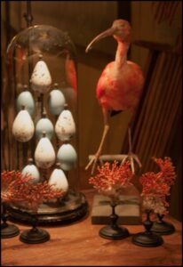 10 STILL LIFE