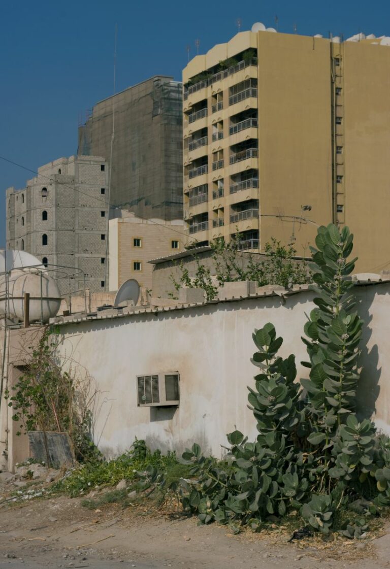 Malik Bin Anas St Old Salata Dist