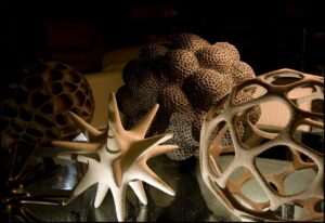 3 STILL LIFE