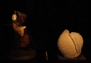 6 STILL LIFE