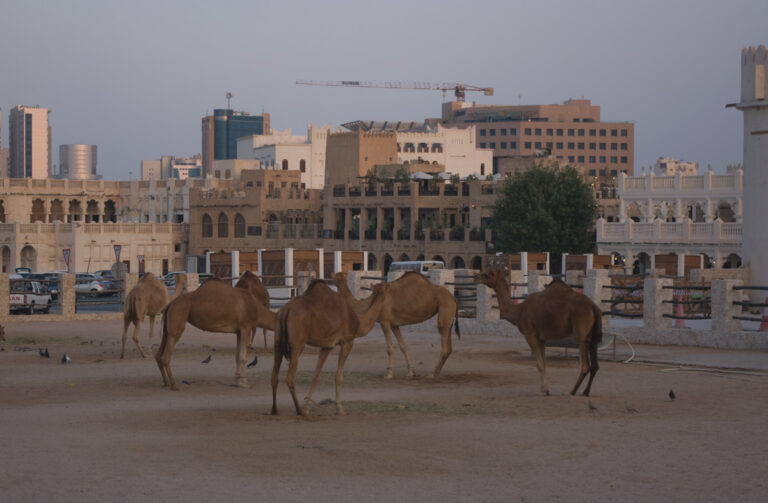 Al Souq 2015